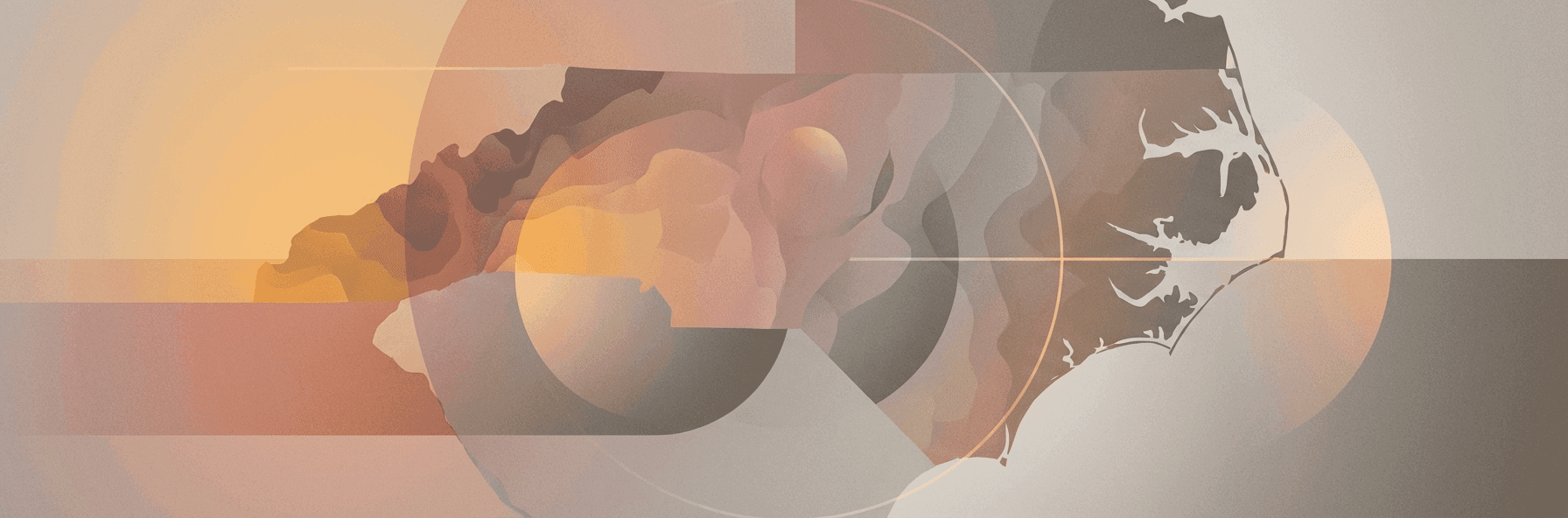 North Carolina Income Tax Guide for Paystubs